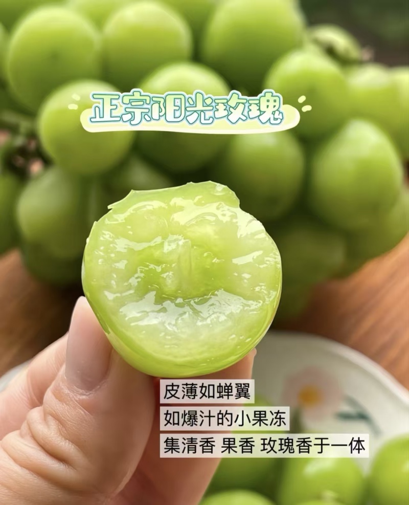 《阳光玫瑰》陕西阳光玫瑰/蒲城葡萄/电商团购