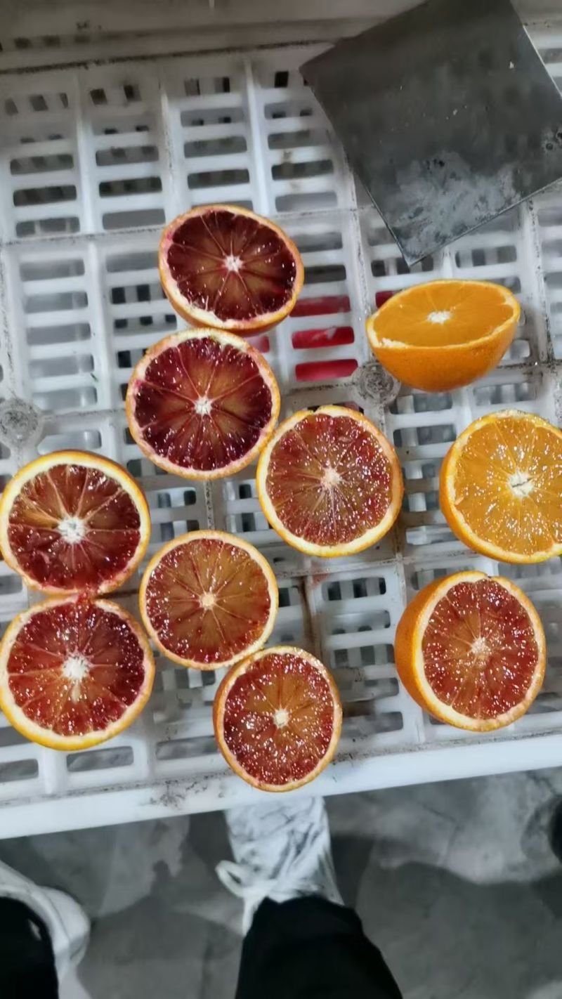 资中塔罗科血橙一手货源耐运输储存现场看货视频看货满意为止