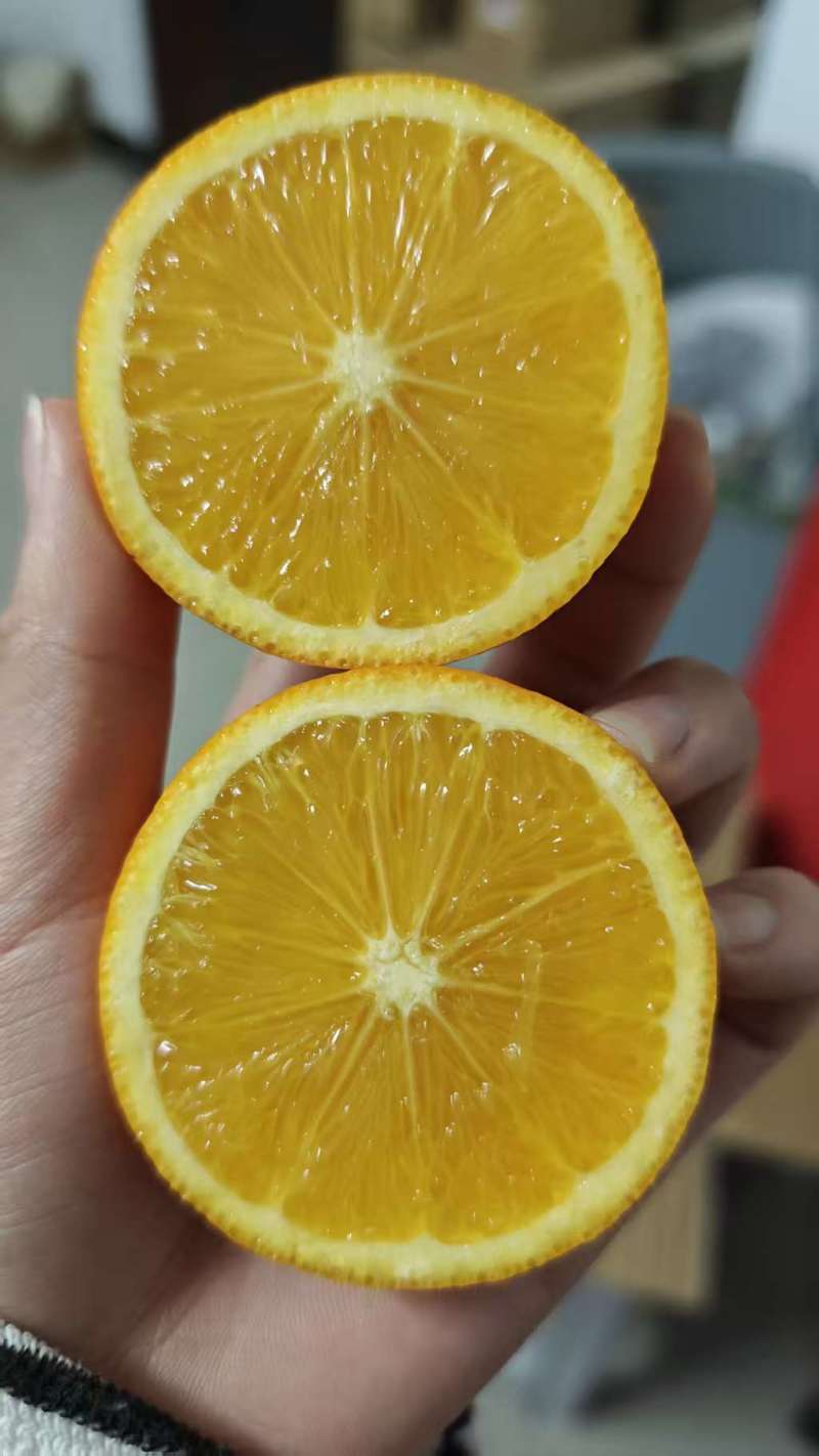 麻阳冰糖橙对接电商平台一件代发保质保量销量高