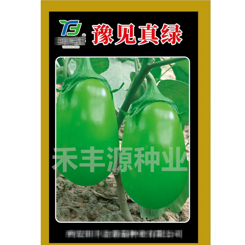 豫见真绿茄子种子青圆茄籽青皮皮油亮坐果率高