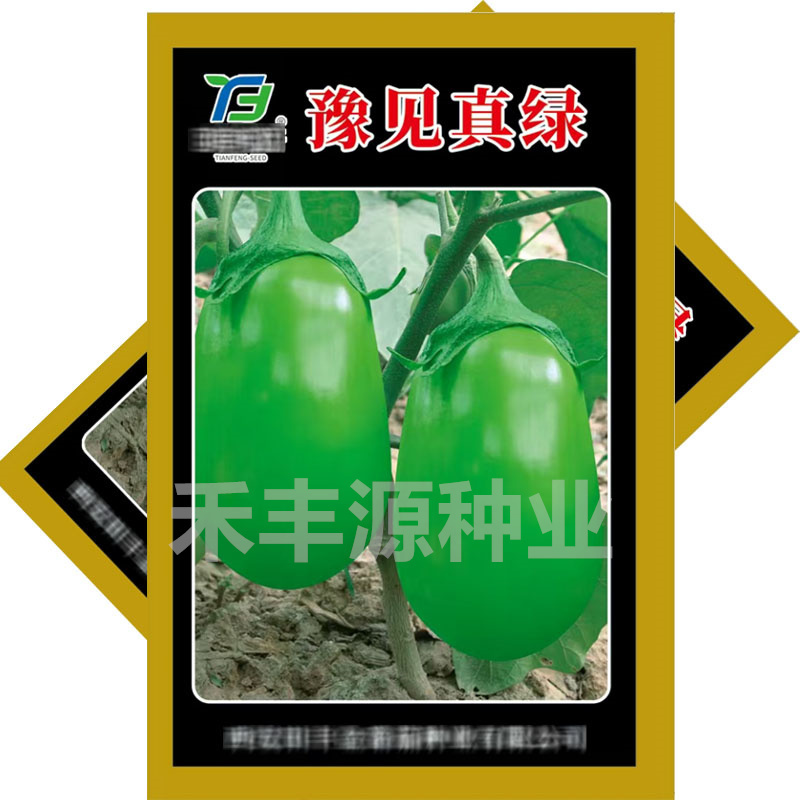 豫见真绿茄子种子青圆茄籽青皮皮油亮坐果率高