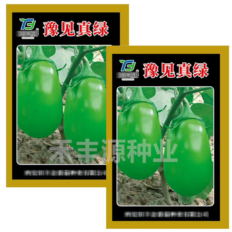 豫见真绿茄子种子青圆茄籽青皮皮油亮坐果率高