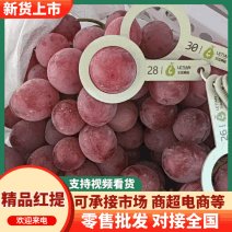 甘肃精品红提葡萄冷库货糖度高色泽红艳口感甜欢迎咨询