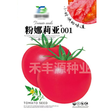 粉娜莉亚001番茄种子无限生长耐低温弱光硬度好高产抗病