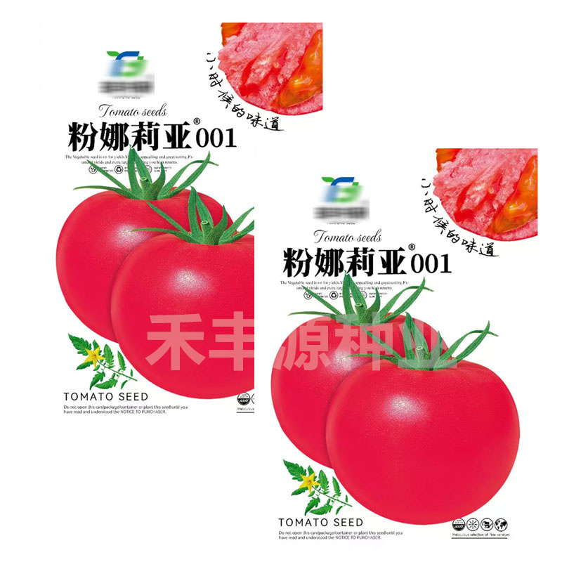 粉娜莉亚001番茄种子无限生长耐低温弱光硬度好高产抗病