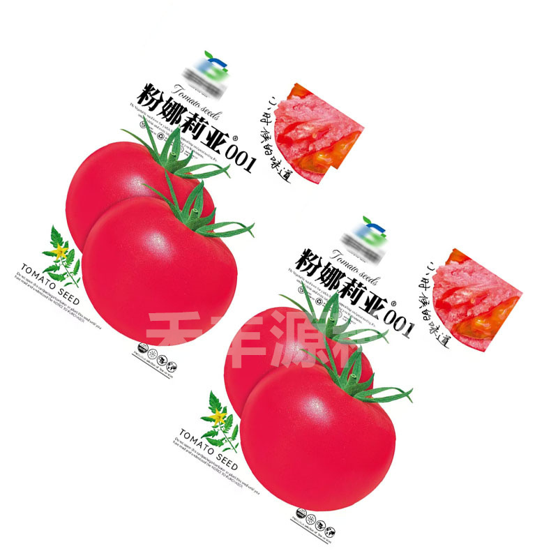 粉娜莉亚001番茄种子无限生长耐低温弱光硬度好高产抗病