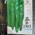 辣妹子辣椒种子提供种植技术指导每包1000粒接受定苗