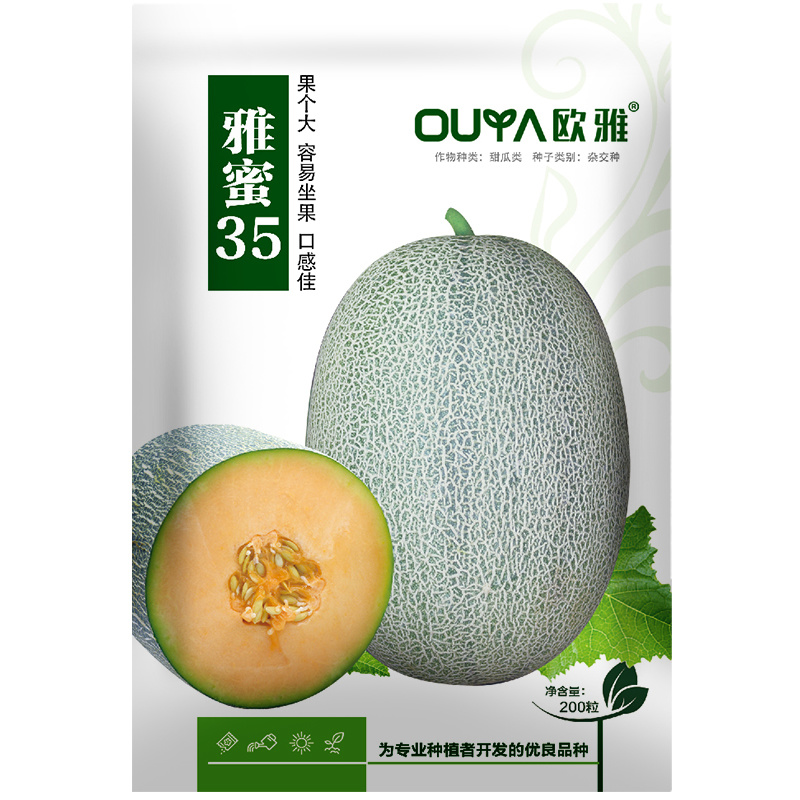 哈密瓜种子网纹甜瓜种子西州蜜25号种子冰淇淋网纹蜜瓜种子