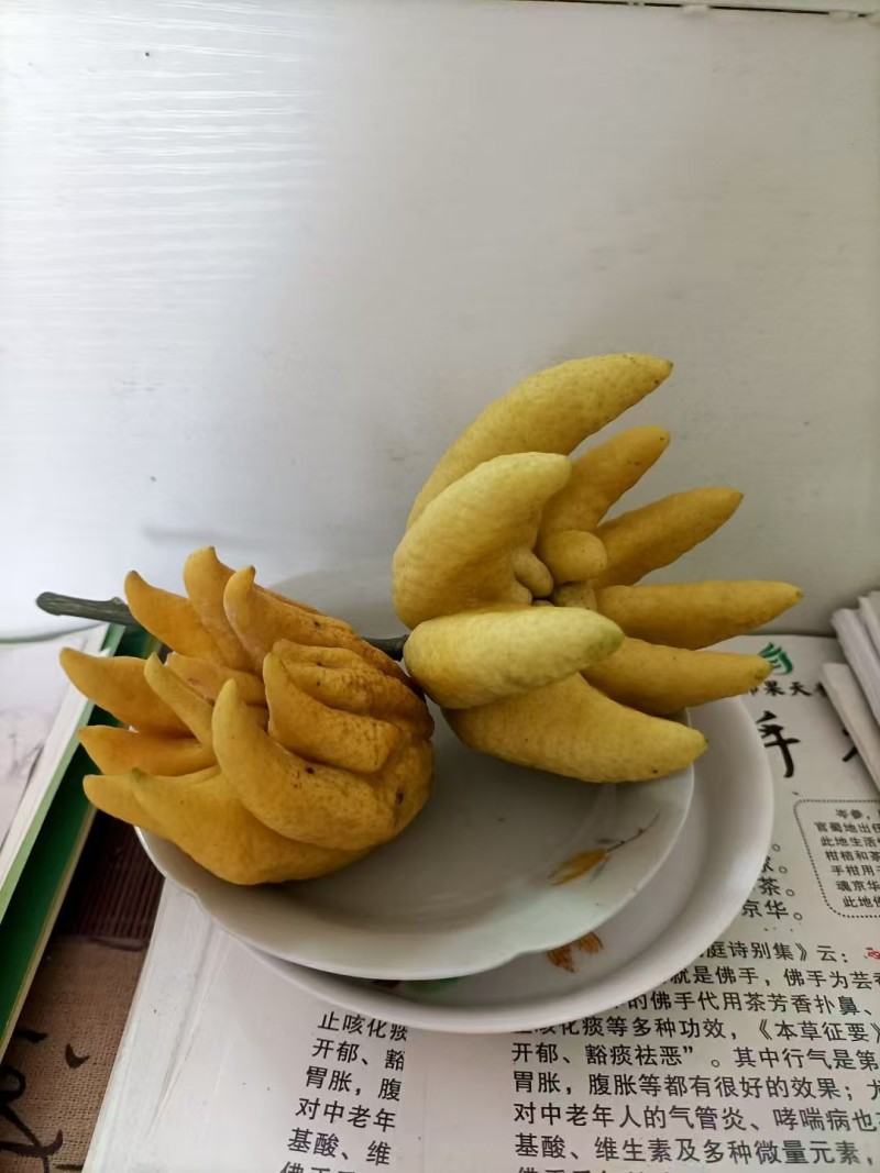 新鲜佛手柑，全部黄色。有2-3百斤左右，要就联系。