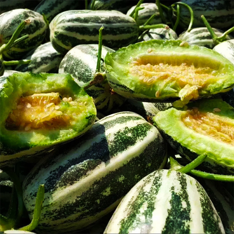 薄皮羊角蜜甜瓜种子欧雅甜9号口感酥脆清香甜瓜种子籽正品
