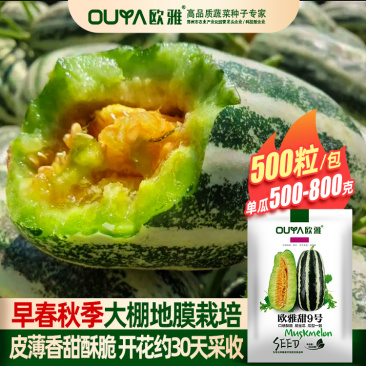 薄皮羊角蜜甜瓜种子欧雅甜9号口感酥脆清香甜瓜种子籽正品