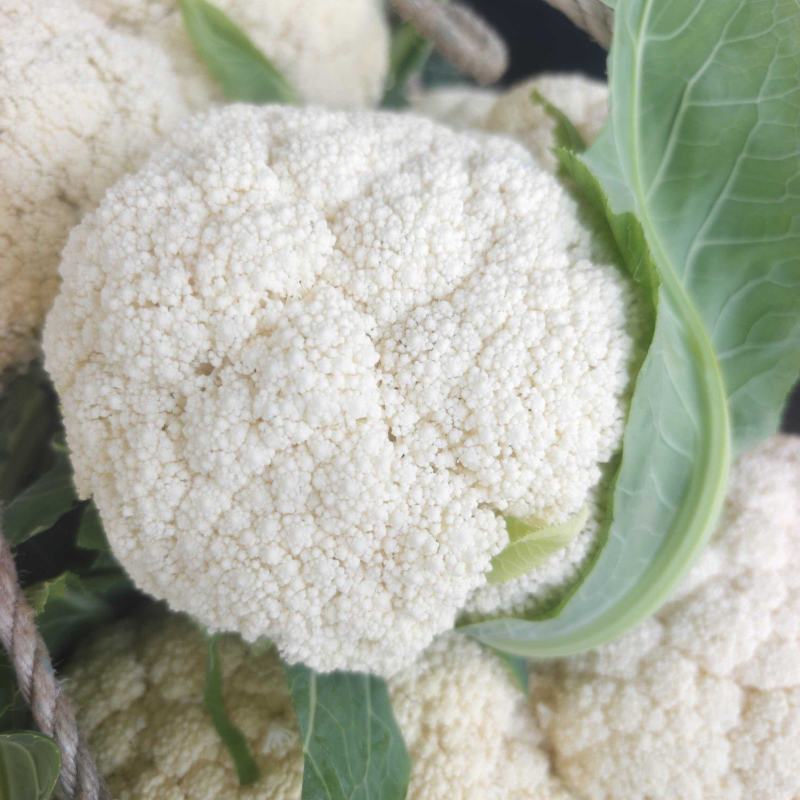 精品松花菜有机花菜基地一手货源对接电商市场商超