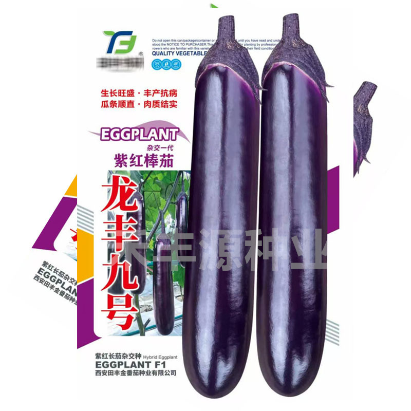 龙丰九号杂交一代紫红棒茄子种子早熟深紫色果型顺直