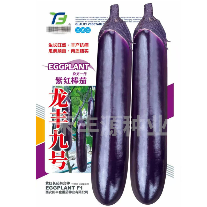 龙丰九号杂交一代紫红棒茄子种子早熟深紫色果型顺直