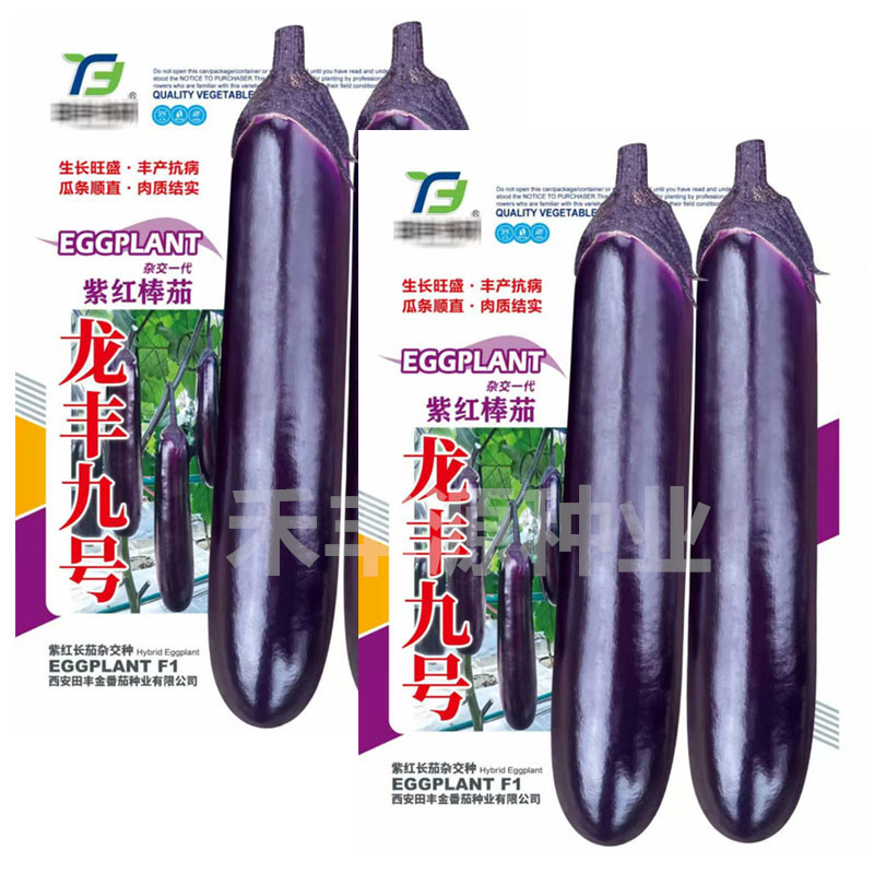 龙丰九号杂交一代紫红棒茄子种子早熟深紫色果型顺直
