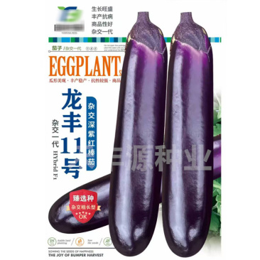 龙丰11号茄子种子烧烤茄深紫红色丰产抗病杂交粗长型