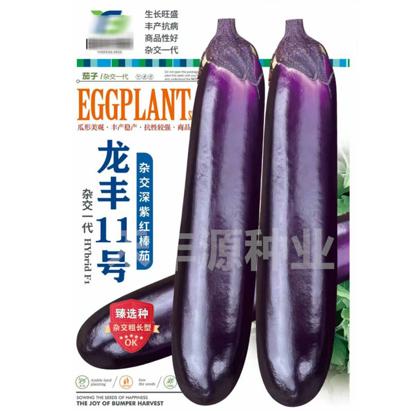 龙丰11号茄子种子烧烤茄深紫红色丰产抗病杂交粗长型
