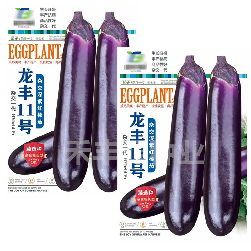 龙丰11号茄子种子烧烤茄深紫红色丰产抗病杂交粗长型