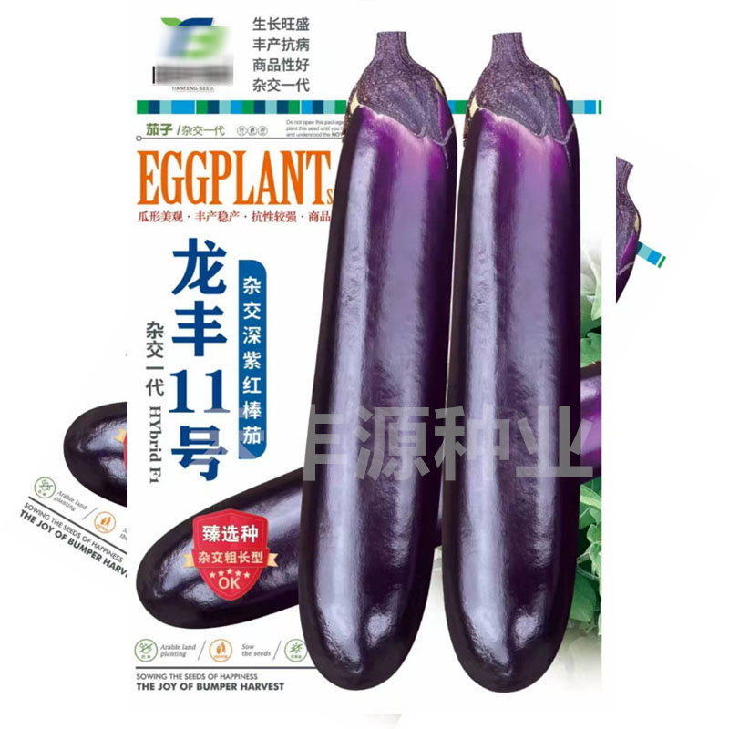 龙丰11号茄子种子烧烤茄深紫红色丰产抗病杂交粗长型
