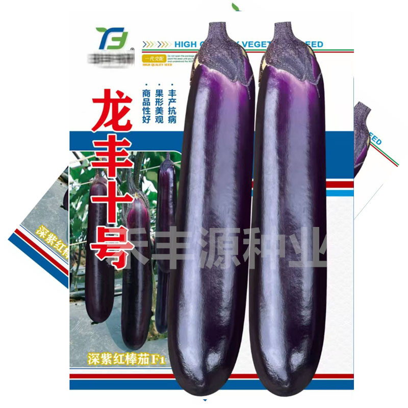 龙丰十号杂交一代中熟深紫红棒耐热茄中熟座果率高基地型