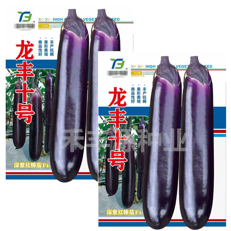 龙丰十号杂交一代中熟深紫红棒耐热茄中熟座果率高基地型