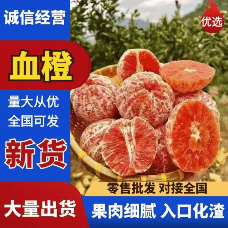 资中塔罗科血橙一手货源耐运输储存现场看货视频看货满意为止