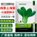 四季上海青种子青梗菜种子籽耐热耐寒青菜鸡毛菜油菜蔬菜种子