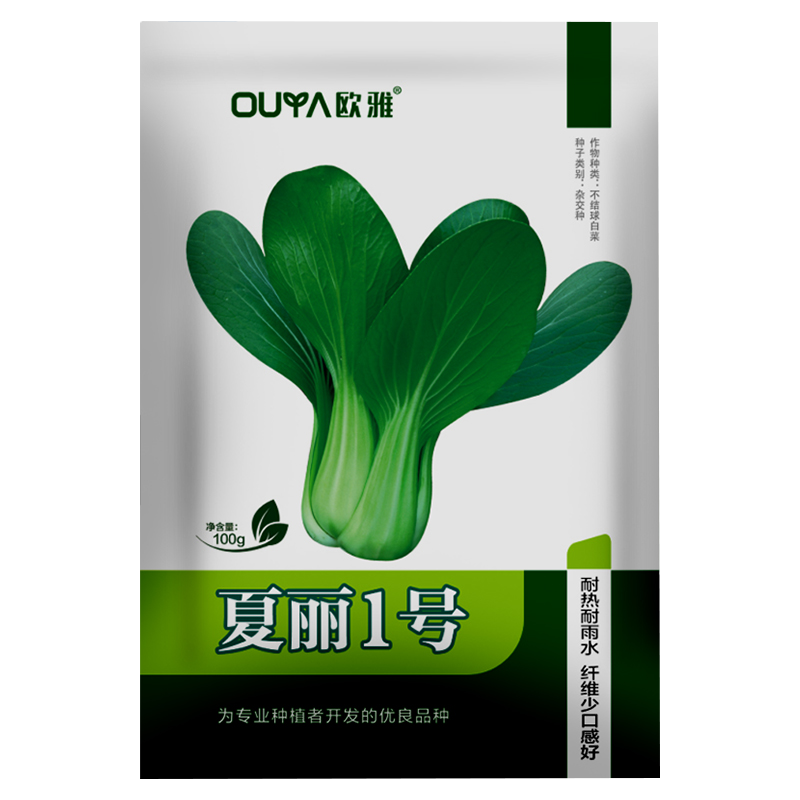 四季上海青种子青梗菜种子籽耐热耐寒青菜鸡毛菜油菜蔬菜种子