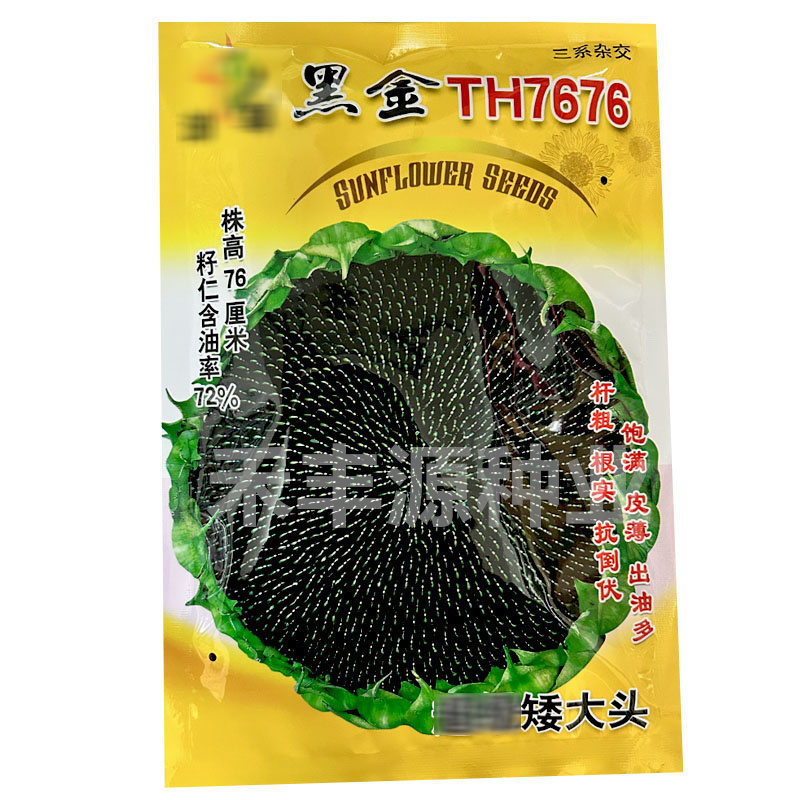 油尊黑金TH7676油葵籽杆粗根实抗倒伏皮薄出油多