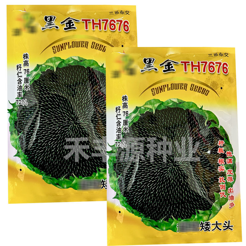 油尊黑金TH7676油葵籽杆粗根实抗倒伏皮薄出油多