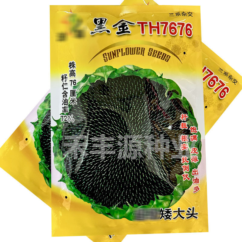 油尊黑金TH7676油葵籽杆粗根实抗倒伏皮薄出油多