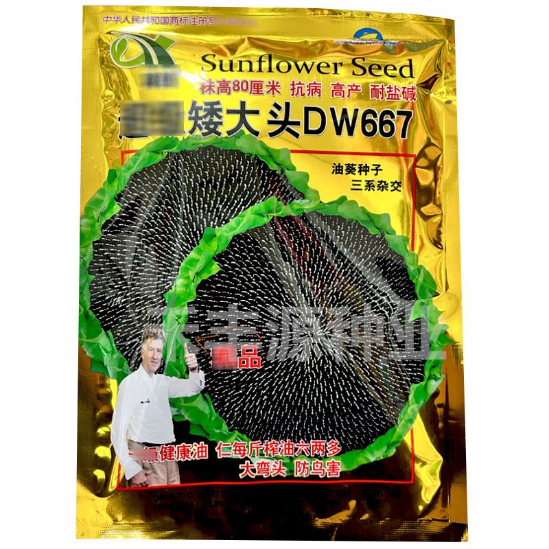 矮大头DW667油葵种子矮杆高油高产耐盐碱地基地型