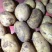 沃土土豆基地直发品质保证规格齐全量大从优
