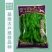 正宗早熟毛豆种子特早王50天毛豆种籽早熟高产毛豆种子