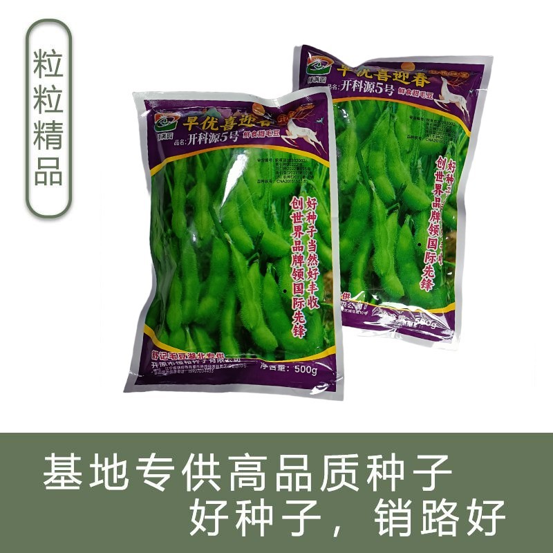正宗早熟毛豆种子特早王50天毛豆种籽早熟高产毛豆种子