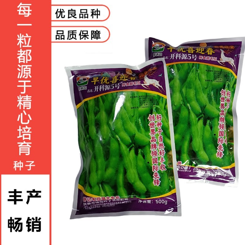 正宗早熟毛豆种子特早王50天毛豆种籽早熟高产毛豆种子