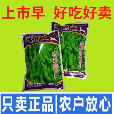 正宗早熟毛豆种子特早王50天毛豆种籽早熟高产毛豆种子
