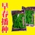正宗早熟毛豆种子特早王50天毛豆种籽早熟高产毛豆种子