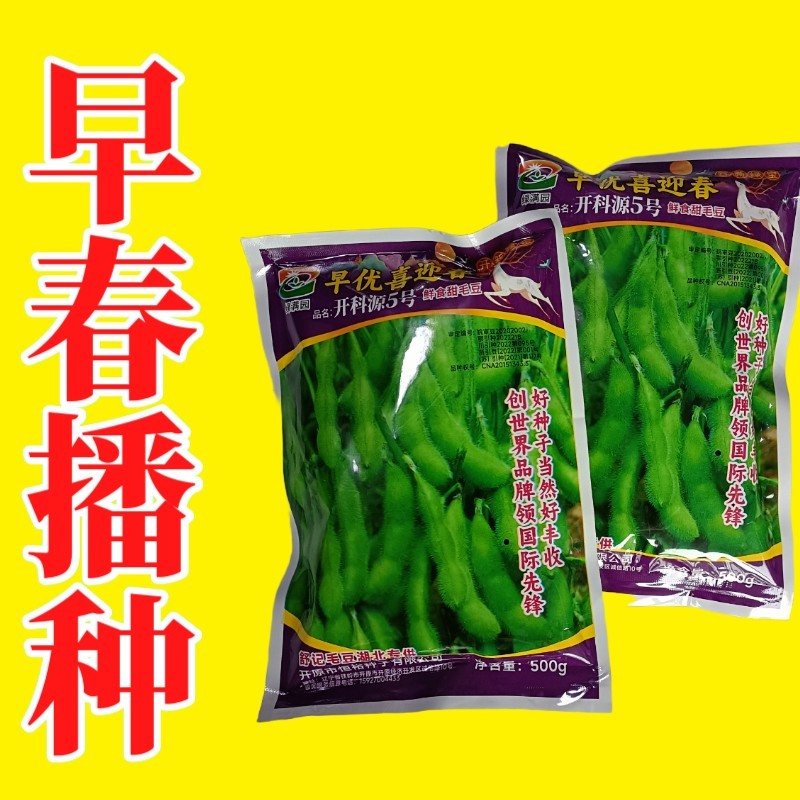正宗早熟毛豆种子特早王50天毛豆种籽早熟高产毛豆种子