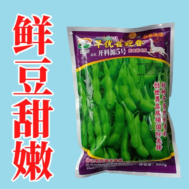 正宗早熟毛豆种子特早王50天毛豆种籽早熟高产毛豆种子