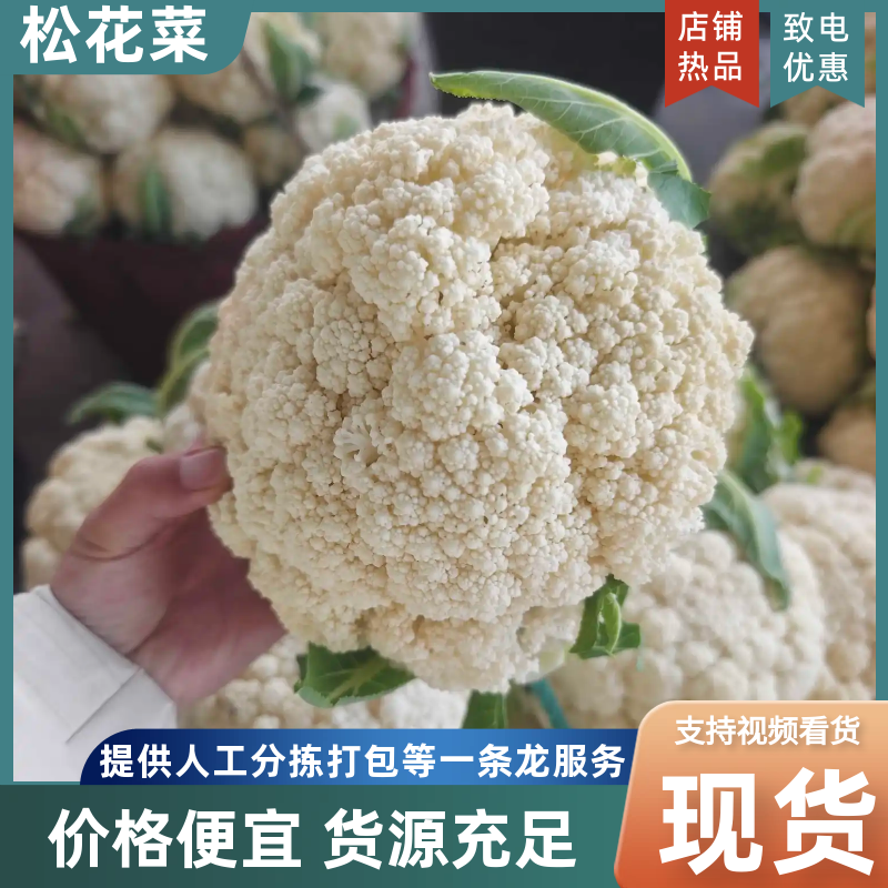 好货推荐精品有机花菜白面青梗松花菜全国发货保质量