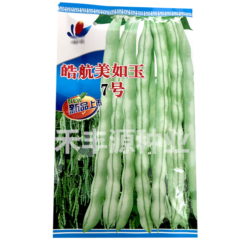 美如玉7号芸豆种子九粒白籽早熟高产架豆春秋基地种植