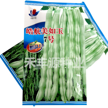 美如玉7号芸豆种子九粒白籽早熟高产架豆春秋基地种植