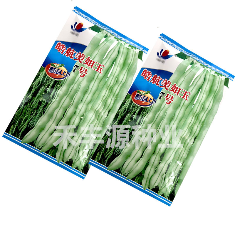 美如玉7号芸豆种子九粒白籽早熟高产架豆春秋基地种植