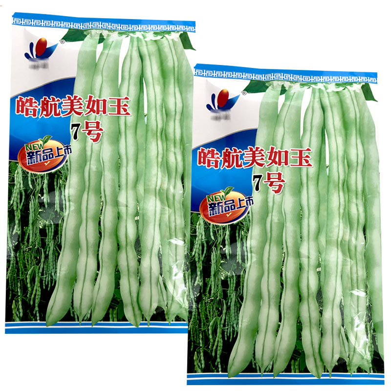 美如玉7号芸豆种子九粒白籽早熟高产架豆春秋基地种植