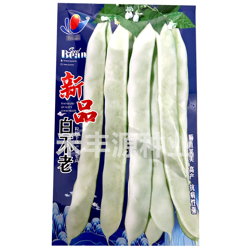 白不老芸豆种子宽扁豆无纤维不老化200g基地大田种