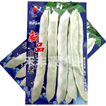 白不老芸豆种子宽扁豆无纤维不老化200g基地大田种