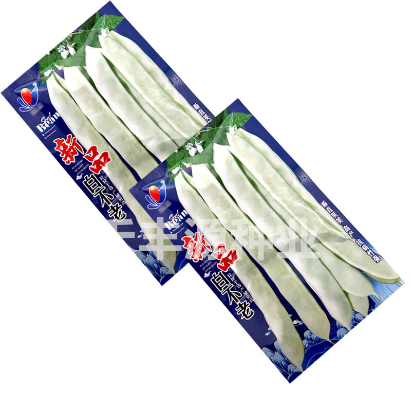 白不老芸豆种子宽扁豆无纤维不老化200g基地大田种