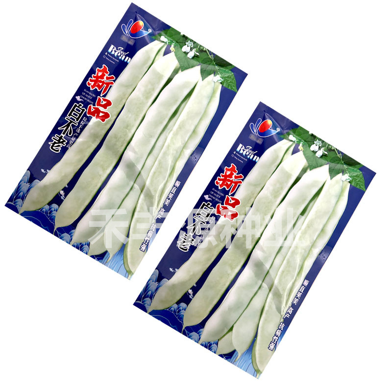 白不老芸豆种子宽扁豆无纤维不老化200g基地大田种