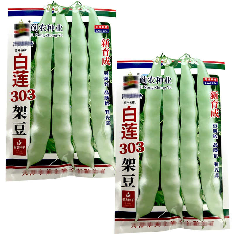 白莲303架豆种子蔓生200g豆荚长有光泽嫩荚绿白色